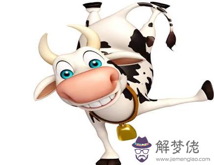 如何與屬牛男相處