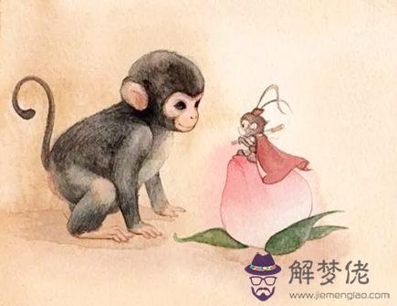 屬猴在2021年會有什么吉星