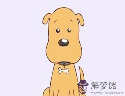 屬狗在2021年會有什么吉星