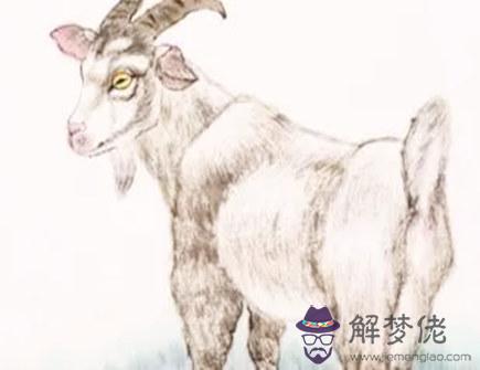 屬羊人談戀愛需要注意的事項