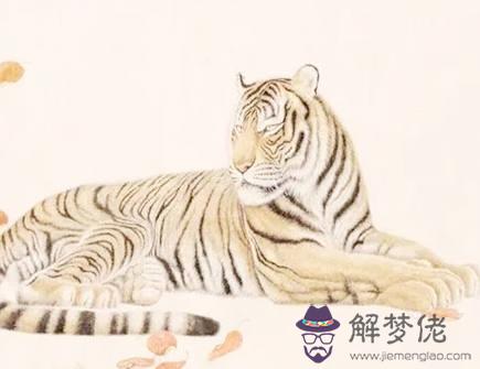 幾月份的屬虎人最有福氣