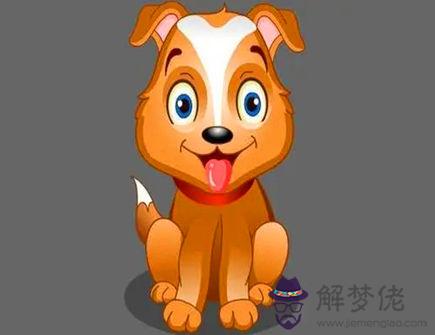 屬狗什么情況下不想再被愛