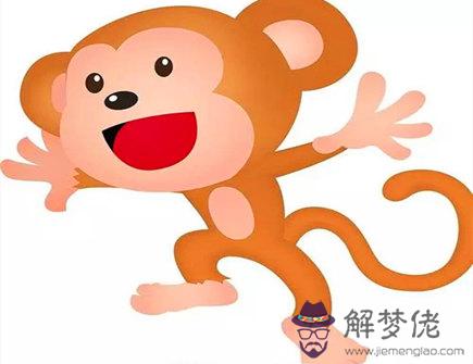 屬猴男適合什么樣的工作