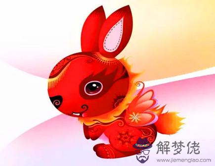 屬兔女和屬鼠男相配嗎