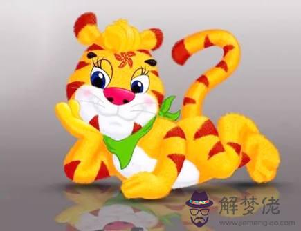 屬虎養什么寵物好
