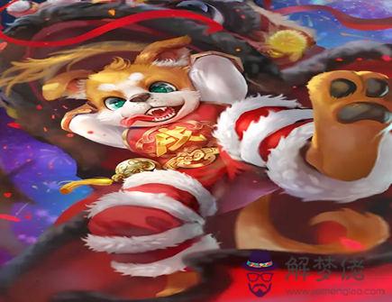 屬狗養什么寵物好