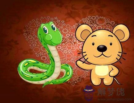 屬蛇和屬鼠做生意怎么樣 屬蛇和屬鼠做生意怎么樣