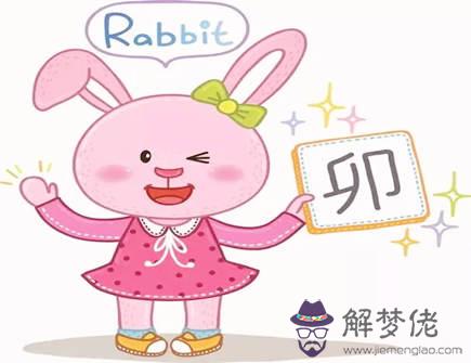 屬兔和屬鼠婚姻怎么樣 屬兔和屬鼠婚姻怎么樣