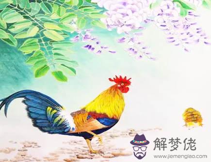 屬雞和屬鼠婚姻怎么樣
