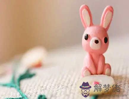 屬兔和屬鼠的孩子屬什么好 屬兔和屬鼠的孩子屬什么好