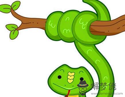 屬蛇和屬鼠的孩子屬什么好 屬蛇和屬鼠的孩子屬什么好