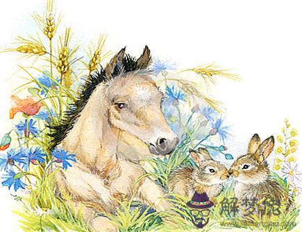 屬馬和屬兔合不合 屬馬和屬兔合不合