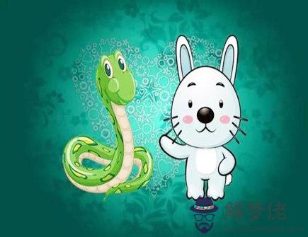屬蛇和屬兔合不合 屬蛇和屬兔合不合