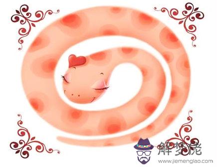 屬蛇和屬狗合不合 屬蛇和屬狗合不合