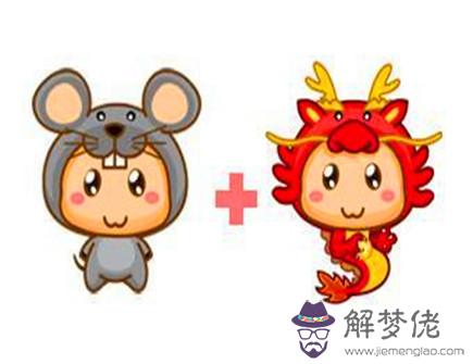 屬龍和屬鼠合不合 屬龍和屬鼠合不合