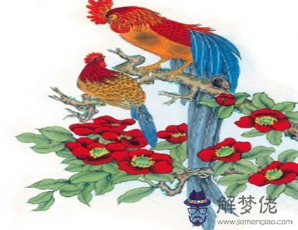 屬雞2021年十二月運勢 屬雞2021年十二月運勢