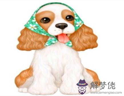 屬狗2021年二月運勢 屬狗2021年二月運勢