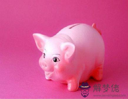 豬爸爸和兔媽媽生什么寶寶好
