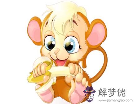 猴爸爸和鼠媽媽生什么寶寶好