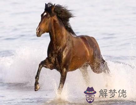 馬爸爸和蛇媽媽生什么寶寶好 馬爸爸和蛇媽媽生什么寶寶好