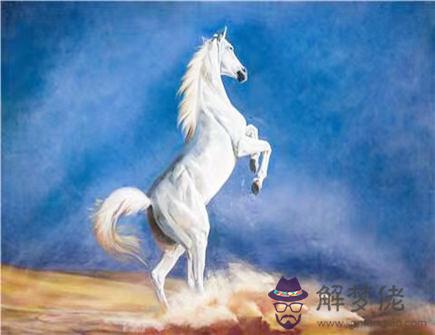 馬爸爸和羊媽媽生什么寶寶好 馬爸爸和羊媽媽生什么寶寶好