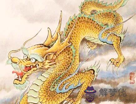 龍爸爸和雞媽媽生什么寶寶好 龍爸爸和雞媽媽生什么寶寶好