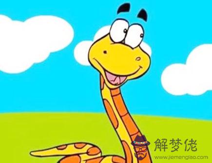 蛇爸爸和馬媽媽生什么寶寶好