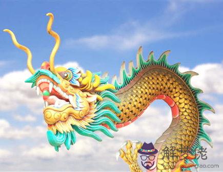 龍爸爸和虎媽媽生什么寶寶好