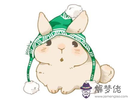 兔爸爸和豬媽媽生什么寶寶好