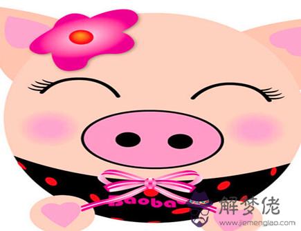 屬豬女和哪個屬相性格相合 屬豬女和哪個屬相性格相合