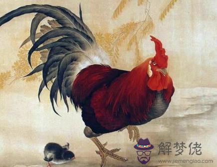 屬雞和什么生肖合適 屬雞和什么生肖合適