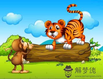 屬虎和什么屬相不配