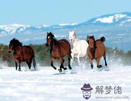 屬馬最怕什么生肖