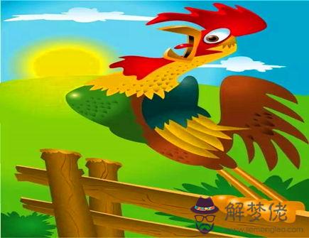 屬雞最怕什么生肖