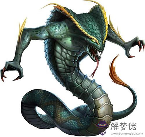屬蛇人和什么屬相相破
