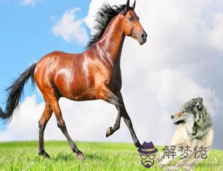 屬馬人和什么屬相相沖