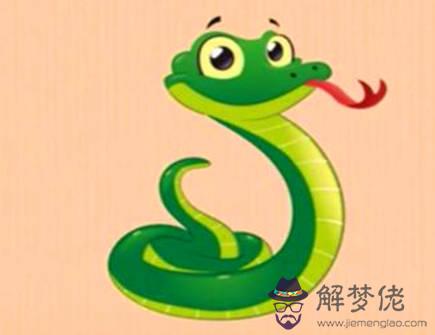 屬蛇的人和什么屬相相害