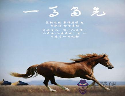 屬馬需要避免的結婚對象 屬馬需要避免的結婚對象g