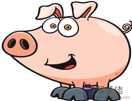 屬豬人會在幾歲結婚 屬豬人會在幾歲結婚