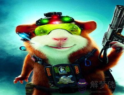 屬鼠需要避免的結婚對象