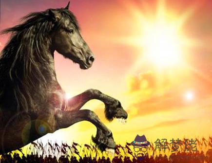 屬馬人在哪個領域發展好 屬馬人在哪個領域發展好