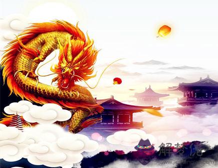 屬龍人養(yǎng)什么植物旺財(cái)