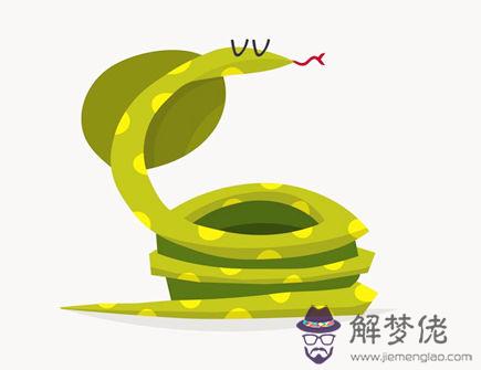 屬蛇人養什么植物旺財