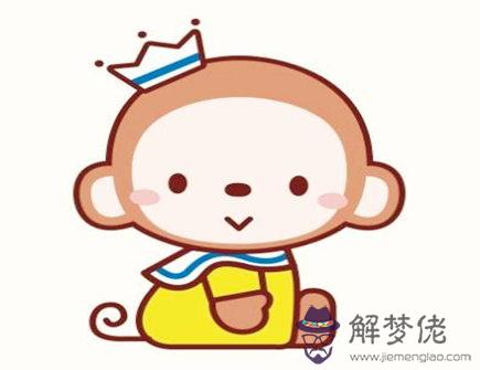 屬猴人養什么植物旺財