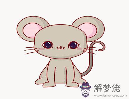 屬鼠人養什么植物旺財