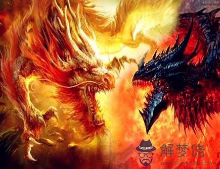 屬龍本命年的大忌是什么