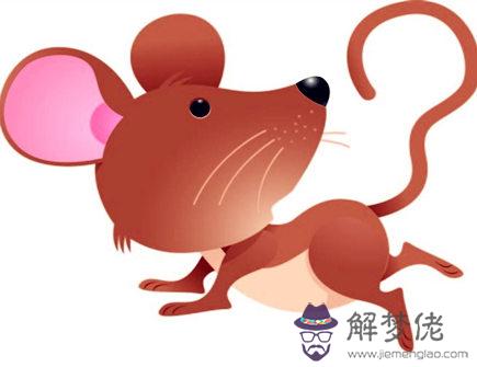 女命生肖鼠2020年真兇診斷