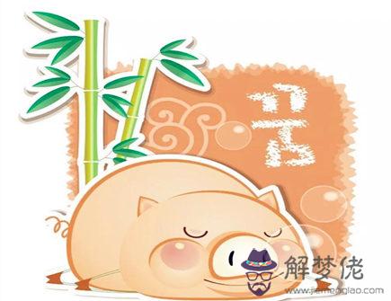 屬豬在戀愛中注重什么細節