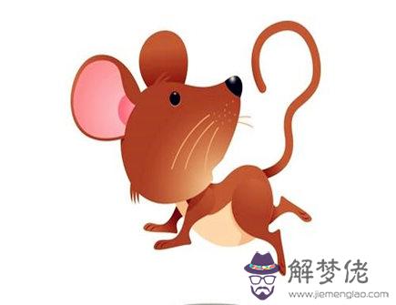 哪個月份的屬鼠人命最好 哪個月份的屬鼠人命最好