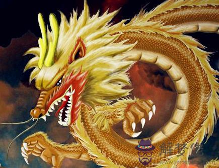 哪個月份的屬龍人命最好